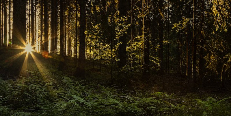 LitHub article